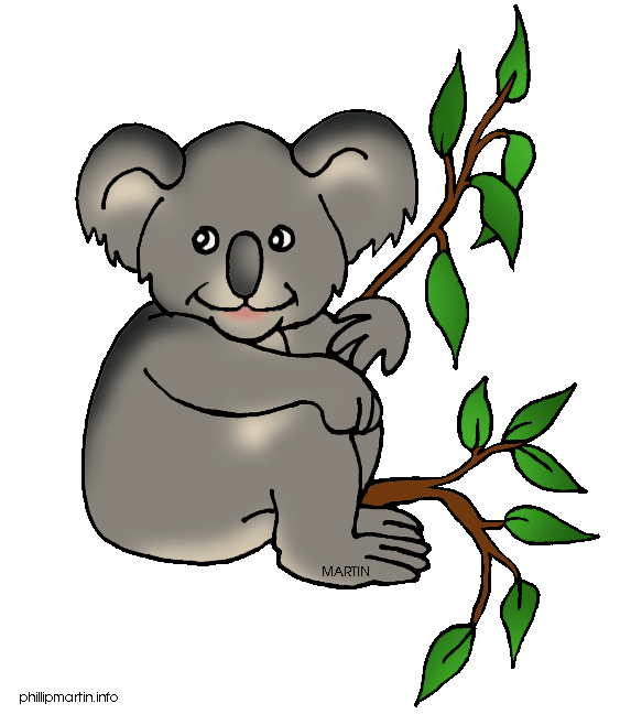 animal_koala